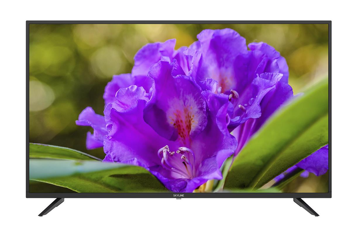 Изображение Телевизор SkyLine 43LT5901 43" 1080p Full HD  черный