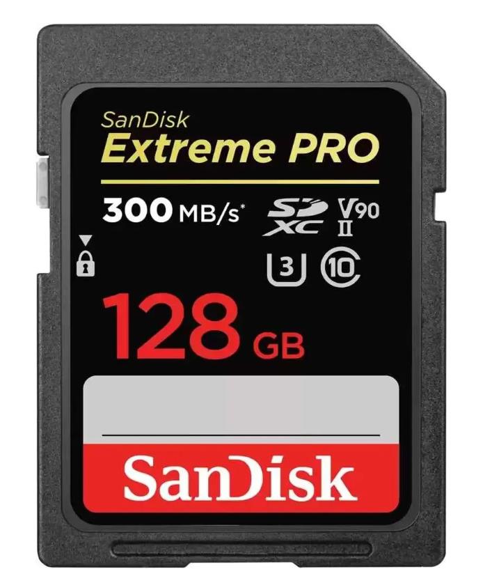 Изображение Карта памяти SanDisk SDXC Class 10 128 Гб  SDSDXDK-128G-GN4IN